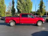 Used 2015 Ford F150 XLT w/ Equipment Group 301A Mid image 2