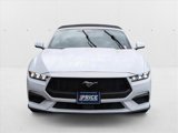 Used 2024 Ford Mustang Premium image 2