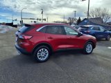 Used 2022 Ford Escape SE image 3