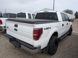 Used 2014 Ford F150 XLT w/ XLT Convenience Package image 3