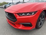 Used 2024 Ford Mustang Premium image 4