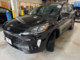 Used 2020 Ford Escape Titanium image 4
