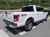 Used 2015 Ford F150 XLT w/ Equipment Group 302A Luxury image 5