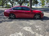 Used 2017 Honda Accord Sport image 4