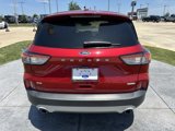 Used 2020 Ford Escape SE image 5