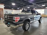 Used 2014 Ford F150 XLT w/ Equipment Group 302A Luxury image 4