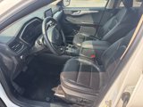 Used 2020 Ford Escape SEL image 6