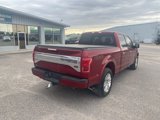 Used 2015 Ford F150 Platinum w/ Equipment Group 701A Luxury image 6