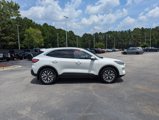 Used 2020 Ford Escape Titanium image 4