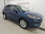 Used 2020 Ford Escape SE image 5