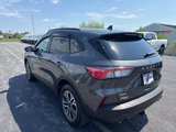 Used 2020 Ford Escape SEL image 3