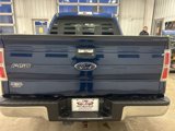 Used 2012 Ford F150 XLT w/ XLT Chrome Pkg image 6