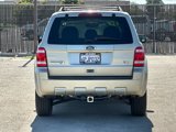 Used 2010 Ford Escape XLT image 5