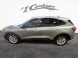 Certified 2022 Ford Escape SE w/ Convenience Package image 4