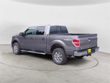 Used 2014 Ford F150 XLT w/ Equipment Group 302A Luxury image 3