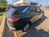 Used 2020 Ford Escape SE image 4