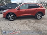 Used 2020 Ford Escape SEL image 2