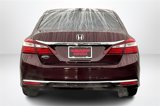 Used 2016 Honda Accord EX-L image 4