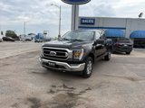 Used 2021 Ford F150 XLT w/ Equipment Group 302A High image 2