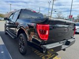 Certified 2023 Ford F150 XL w/ STX Appearance Package image 4