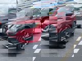 Used 2019 Nissan Rogue SV w/ Premium Package image 4