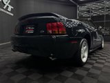 Used 1999 Ford Mustang Cobra image 6