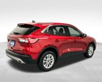 Used 2022 Ford Escape SE w/ Convenience Package image 5