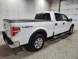 Used 2010 Ford F150 XLT image 5
