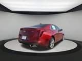 New 2025 Cadillac CT4 Premium Luxury image 5
