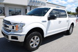 Used 2019 Ford F150 XLT w/ Equipment Group 301A Mid image 2