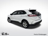 Used 2024 Ford Edge SE image 3