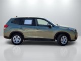Used 2019 Subaru Forester image 4
