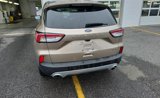 Used 2021 Ford Escape SE image 6