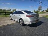 Used 2019 Hyundai Sonata Limited image 3