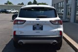 Used 2022 Ford Escape SEL image 5