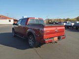 Used 2014 Ford F150 FX4 w/ Equipment Group 402A Luxury image 4