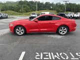 Used 2015 Ford Mustang Coupe image 3