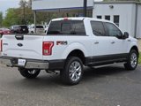 Used 2017 Ford F150 XLT w/ Equipment Group 302A Luxury image 6