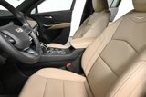 New 2025 Cadillac XT4 Premium Luxury image 5