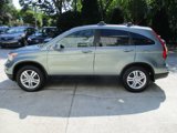 Used 2010 Honda CR-V EX-L image 2