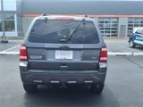 Used 2011 Ford Escape XLT w/ 201A Rapid Spec Order Code image 5