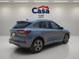 Used 2023 Ford Escape ST-Line w/ Equipment Group 301A image 3