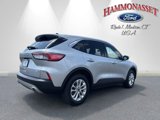 Certified 2020 Ford Escape SE image 3