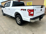 Used 2019 Ford F150 XLT w/ Equipment Group 301A Mid image 3