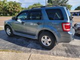 Used 2011 Ford Escape XLT w/ 203A Rapid Spec Order Code image 5