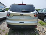 Used 2017 Ford Escape Titanium image 4
