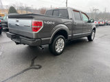 Used 2013 Ford F150 Platinum image 6