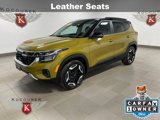 Used 2024 Kia Seltos SX image 3