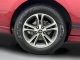 Used 2014 Ford Mustang Premium w/ Equipment Group 201A image 5