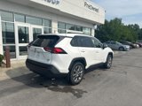 Used 2020 Toyota RAV4 XLE Premium image 3